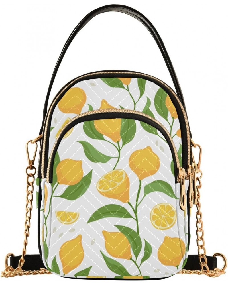 Lemon Slices Fruits Crossbody Bag for Women Cell Phone Purse Wallet with Removable Chain Shoulder Handbag for Work Travel Pho...